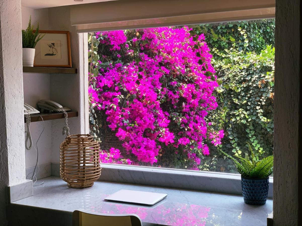 מקסיקו סיטי Casa San Angel Inn Boutique Charming House מראה חיצוני תמונה